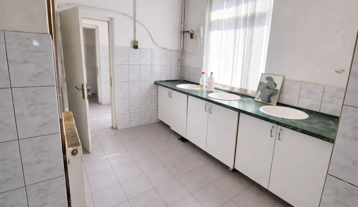 Bright utility room with green marble countertops