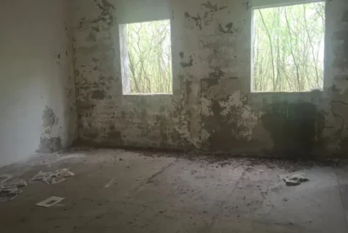 WhatsApp Image 2026-03-31 at 17.05.51 (1)