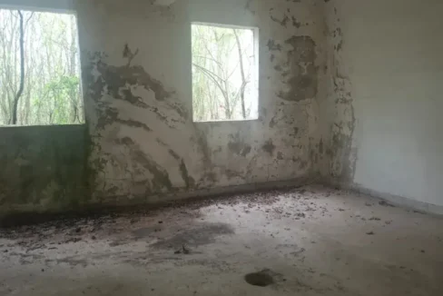 WhatsApp Image 2026-03-31 at 17.05.51