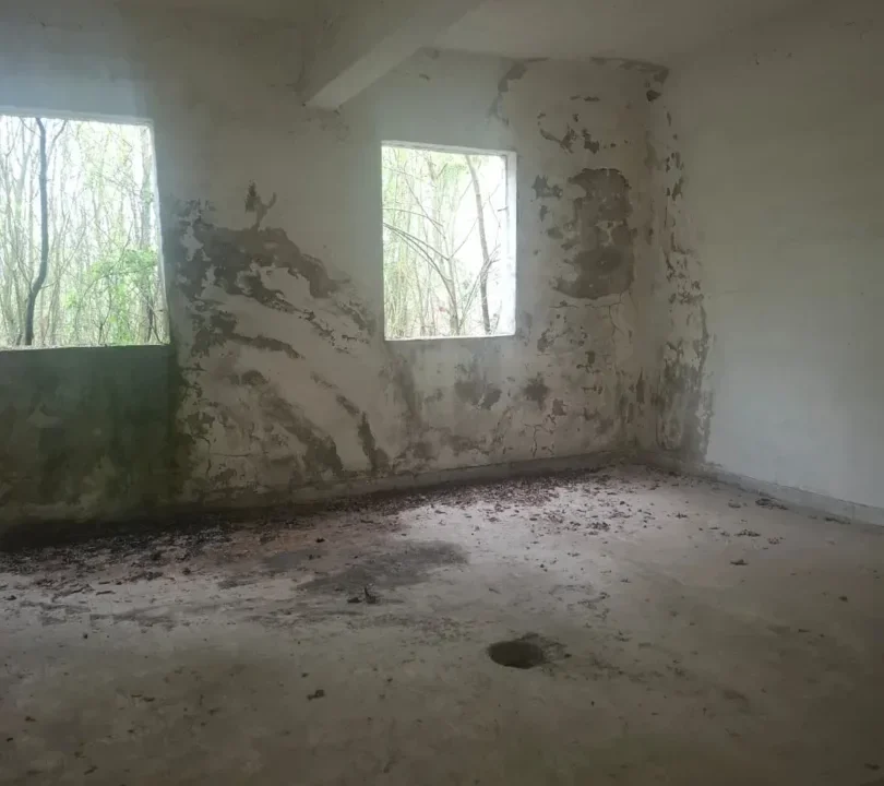 WhatsApp Image 2026-03-31 at 17.05.51