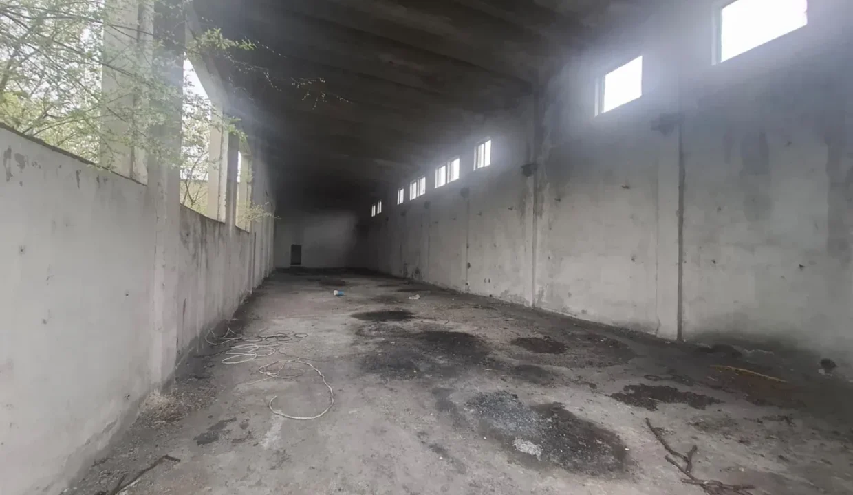 WhatsApp Image 2026-03-31 at 17.05.56