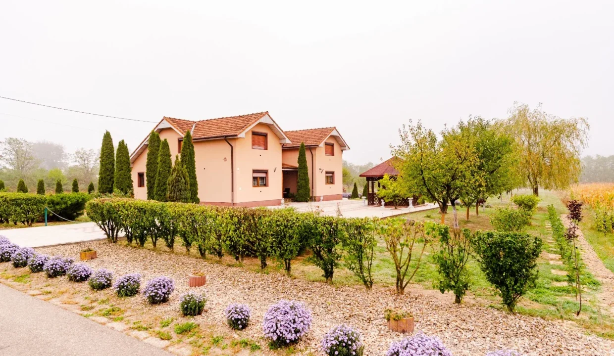 WhatsApp Image 2026-04-17 at 09.43.31