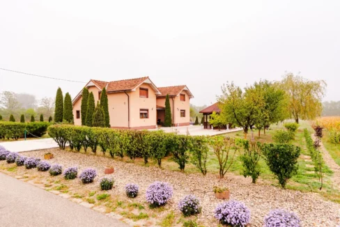 WhatsApp Image 2026-04-17 at 09.43.31