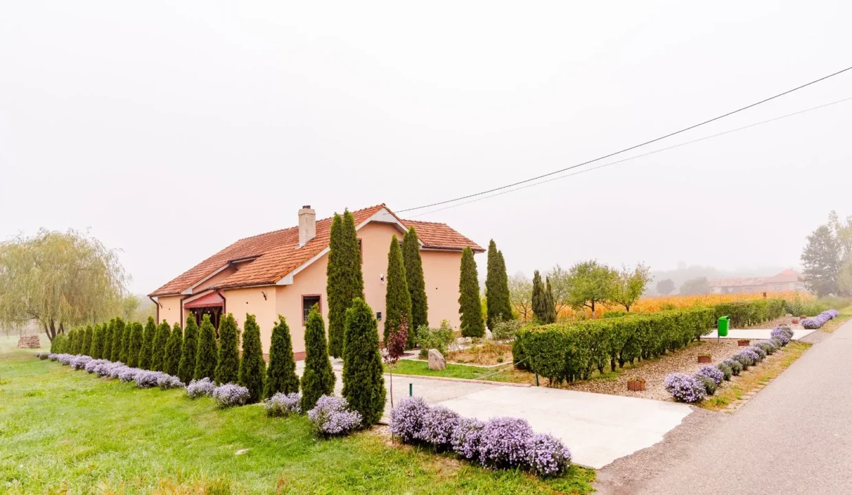 WhatsApp Image 2026-04-17 at 09.43.32 (1)