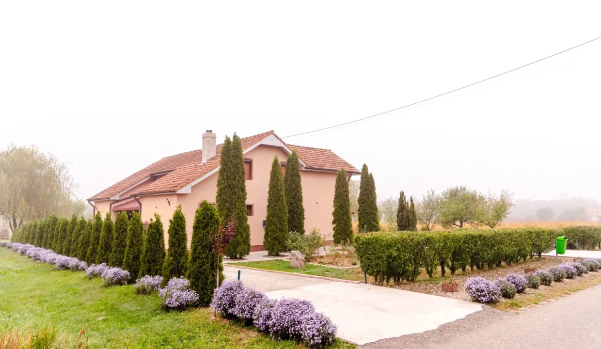 WhatsApp Image 2026-04-17 at 09.43.33 (1)