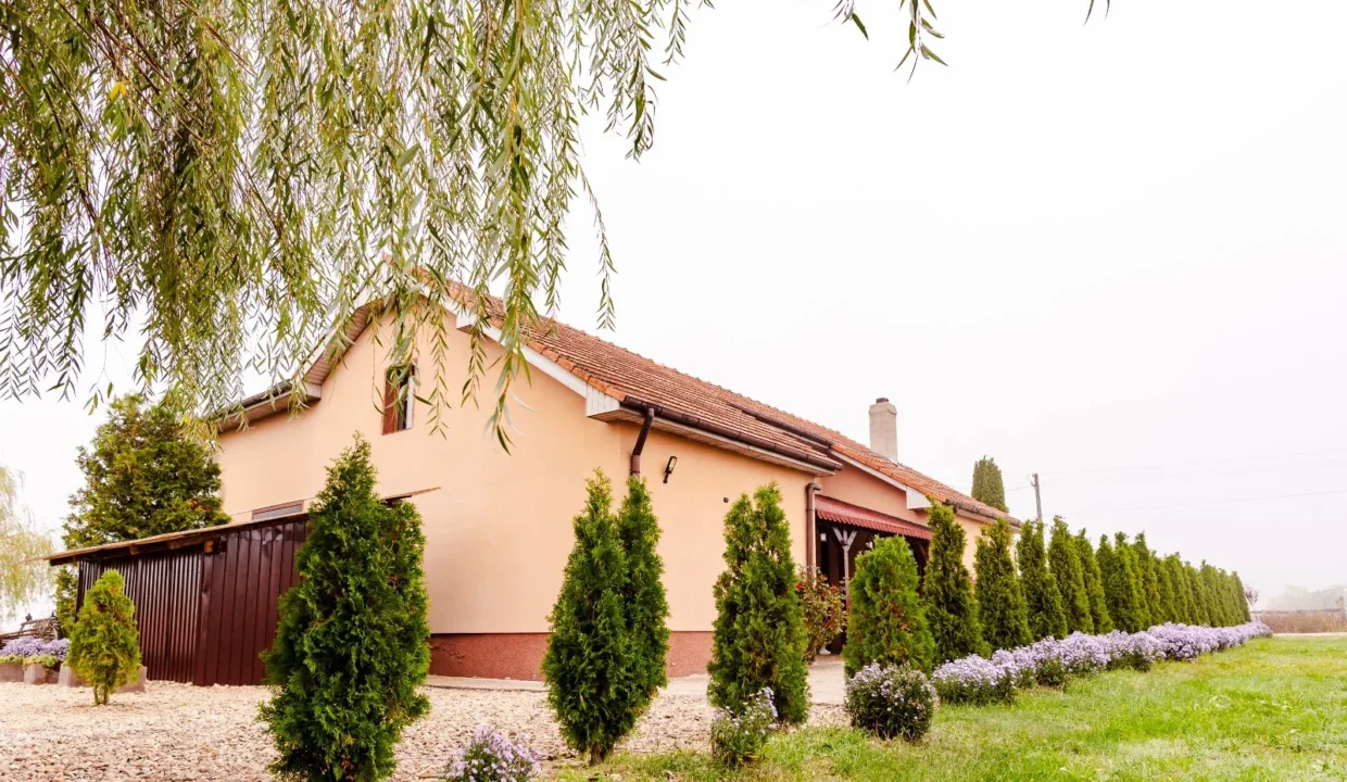 WhatsApp Image 2026-04-17 at 09.43.34 (1)