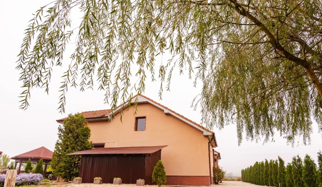 WhatsApp Image 2026-04-17 at 09.43.35 (1)