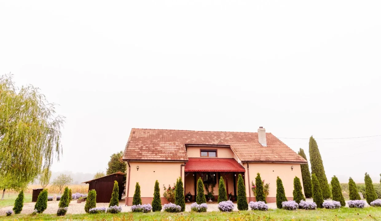 WhatsApp Image 2026-04-17 at 09.43.35